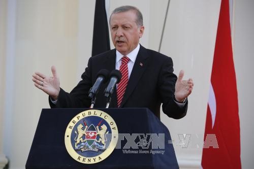 Erdogan s’excuse auprès de Moscou pour l’avion russe abattu par les Turcs - ảnh 1